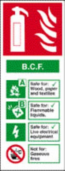 b.c.f.