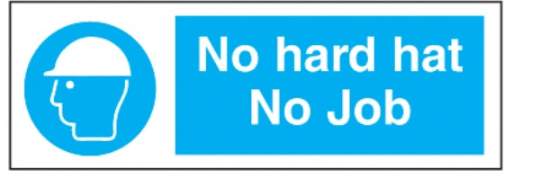 no hard hat no job