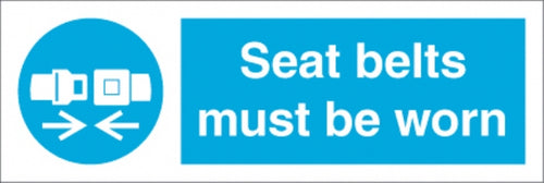 Seat belts must be worn
