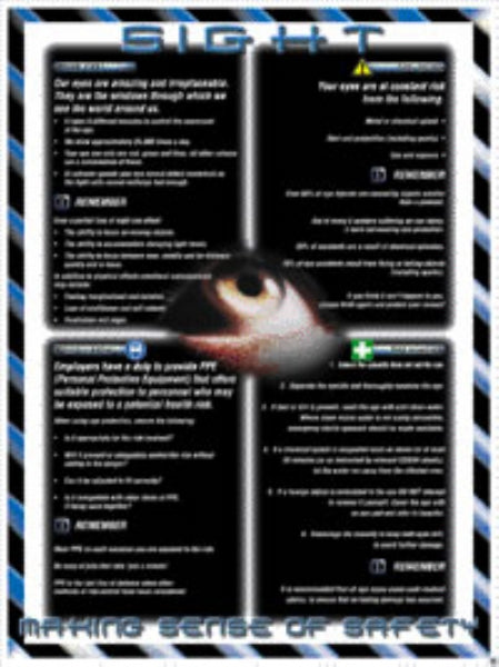 sense posters - eyes