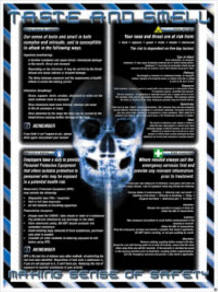 sense posters - nose and throat