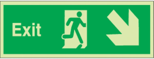 exit arrow diag down right