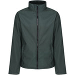 colour:Dark Spruce