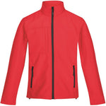 colour:Red