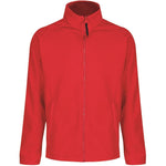 colour:Red