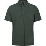 colour:Dark Green