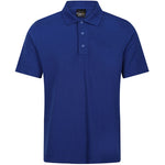 colour:New Royal