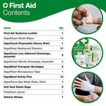 HSE Vehicle First Aid Kit in Plastic Case