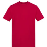 AT002 The Awdis 180 T