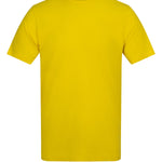 AT002 The Awdis 180 T