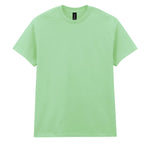 GD005 Heavy Cotton™ Adult T-Shirt