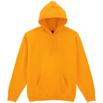 GD057 Heavy Blend™ Hooded Sweatshirt