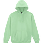 GD057 Heavy Blend™ Hooded Sweatshirt