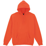 GD057 Heavy Blend™ Hooded Sweatshirt