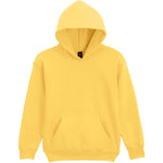 GD67B Softstyle™ Midweight Fleece Youth Hoodie