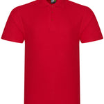 RX101 Pro Polo