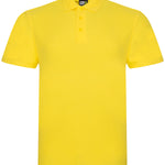 RX101 Pro Polo