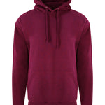 RX350 Pro Hoodie